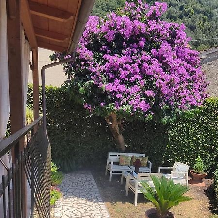 La Bouganville E Il Gelsomino Pietrasanta Kültér fotó