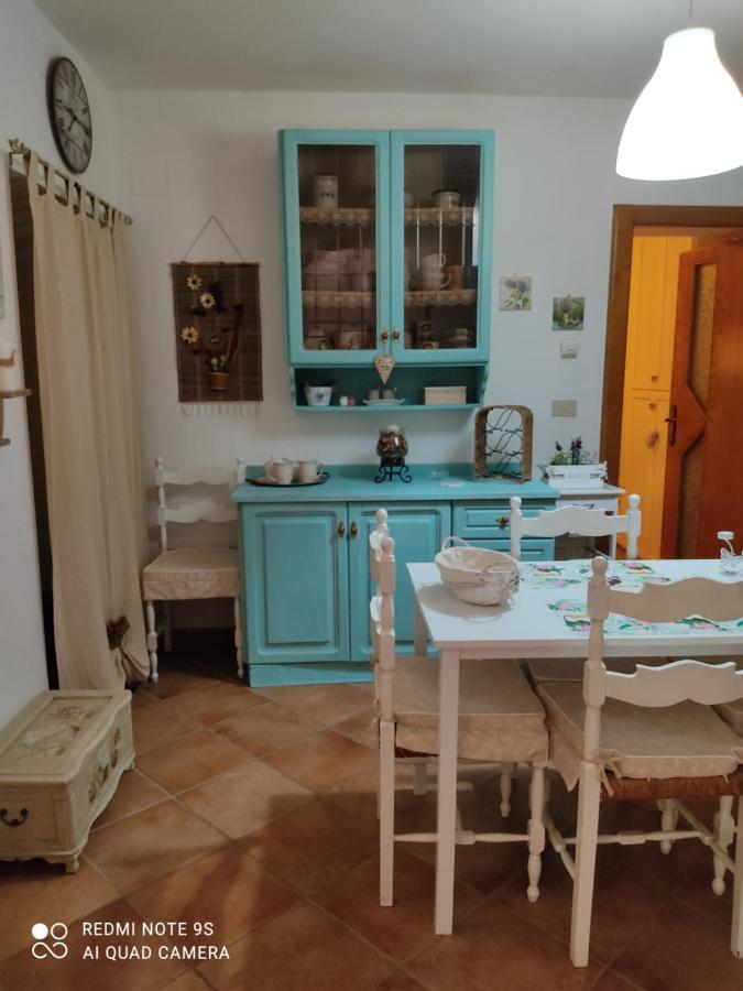 La Bouganville E Il Gelsomino Pietrasanta Kültér fotó
