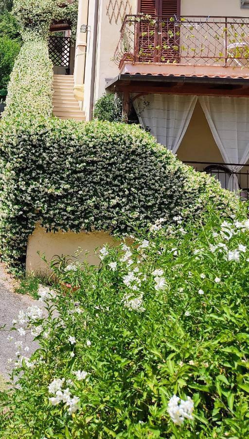 La Bouganville E Il Gelsomino Pietrasanta Kültér fotó