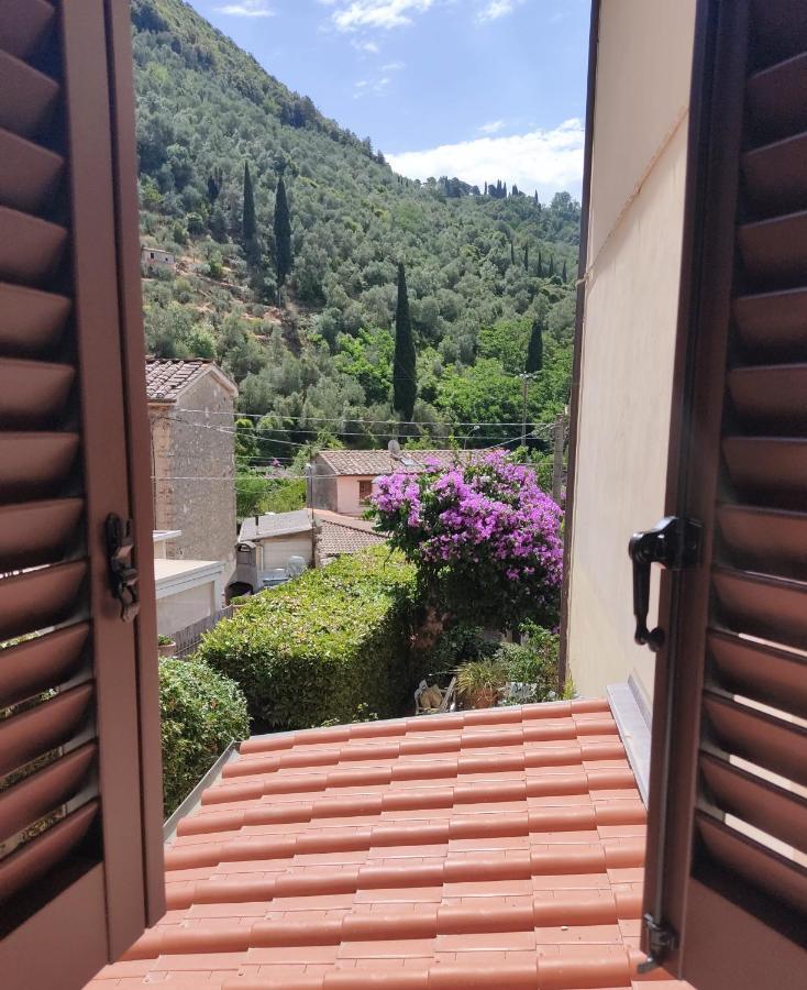 La Bouganville E Il Gelsomino Pietrasanta Kültér fotó