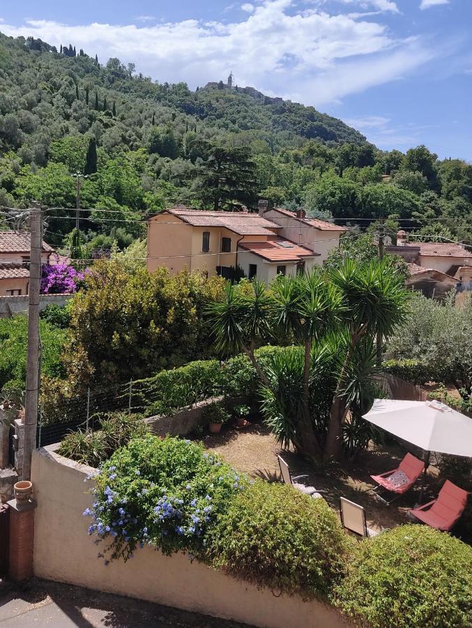 La Bouganville E Il Gelsomino Pietrasanta Kültér fotó
