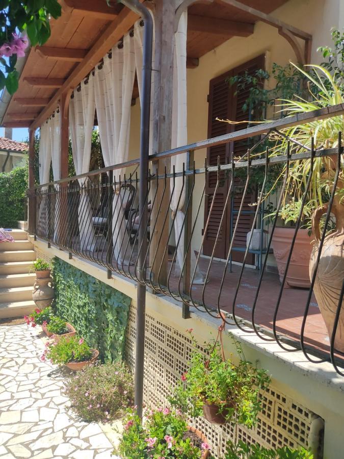 La Bouganville E Il Gelsomino Pietrasanta Kültér fotó